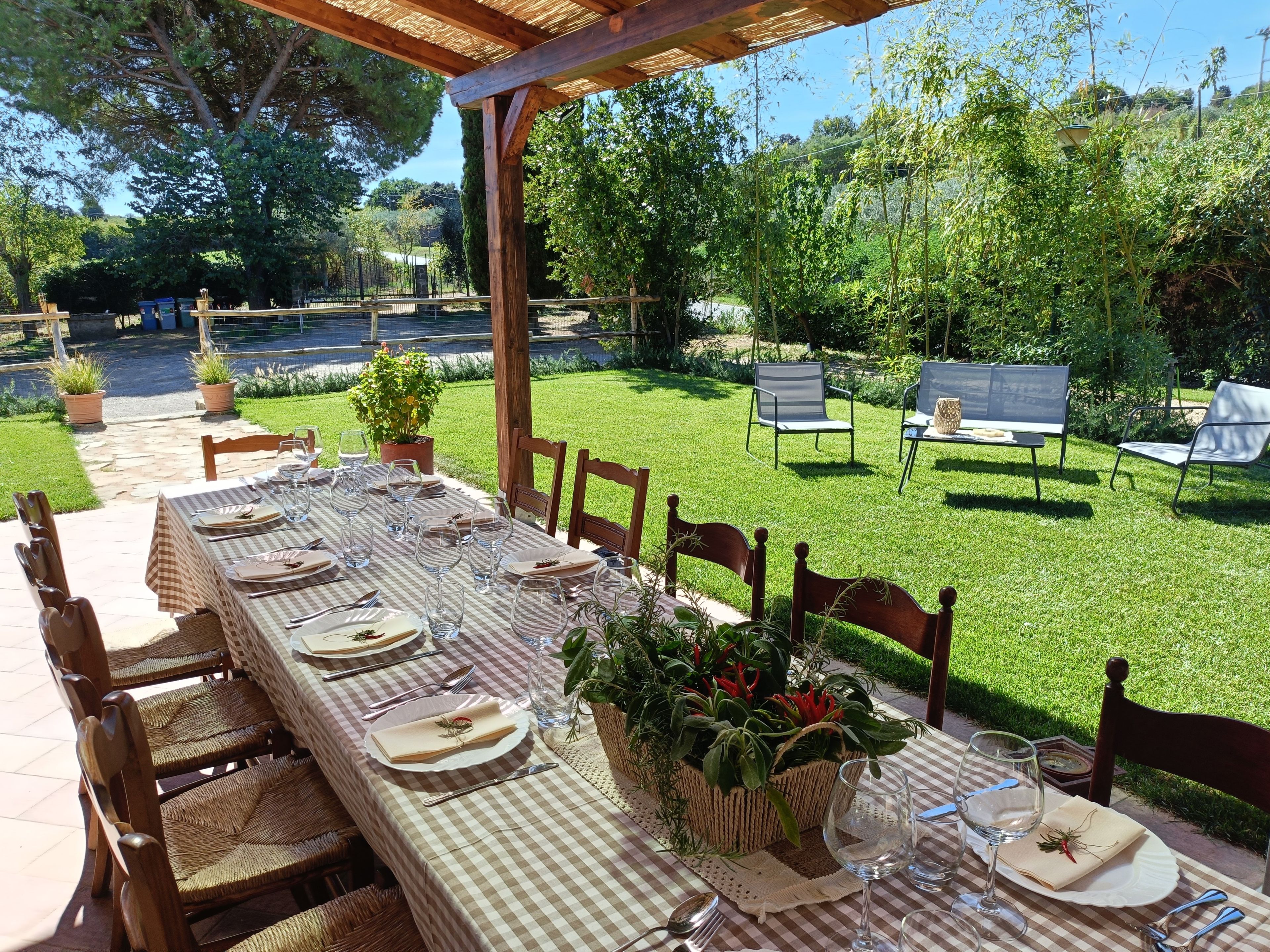 Un espace extérieur aménagé pour les repas, avec une nappe à carreaux, des chaises en bois et des plantes en pot.