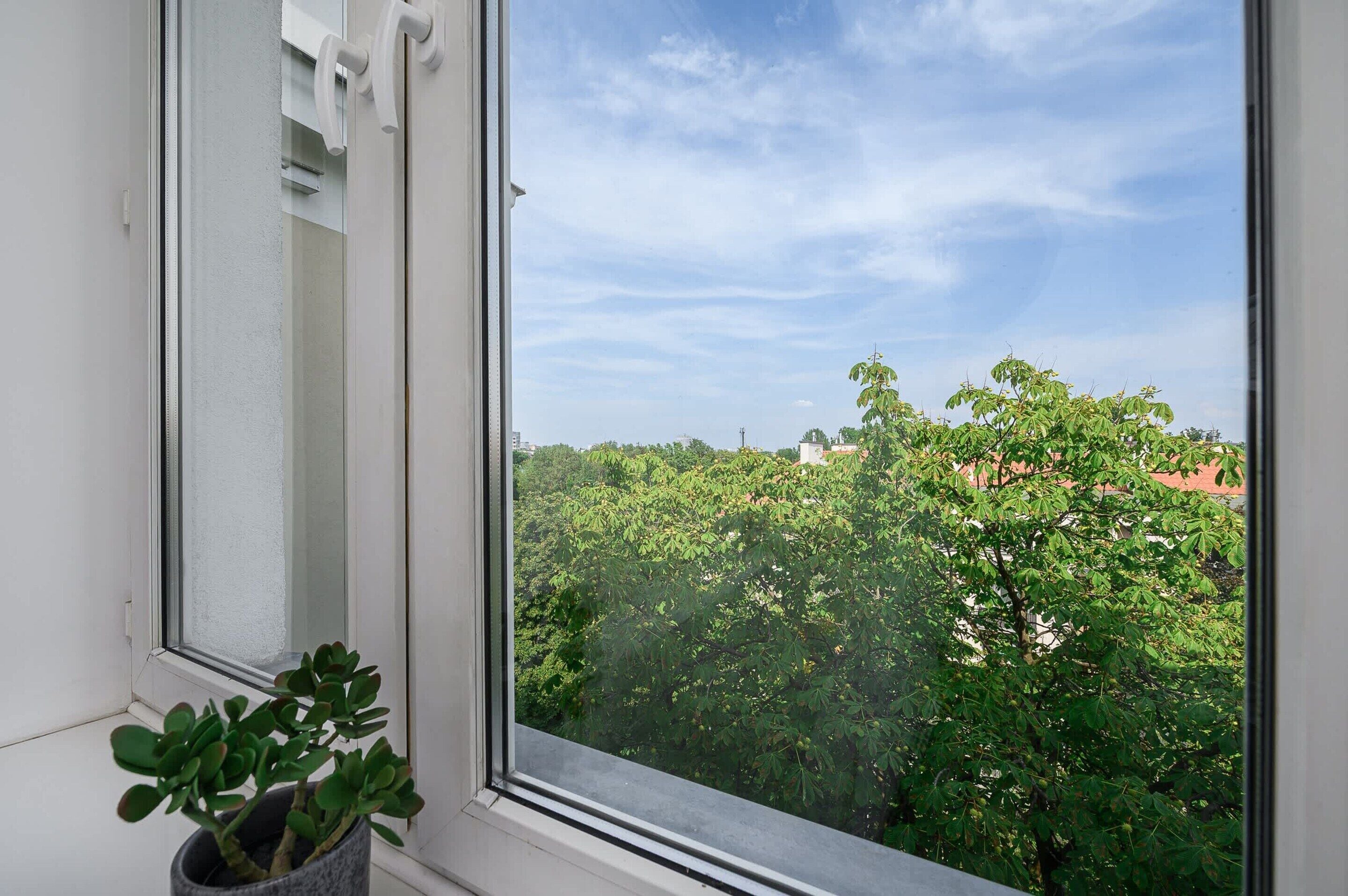 Una ventana con vistas a una calle arbolada y edificios.