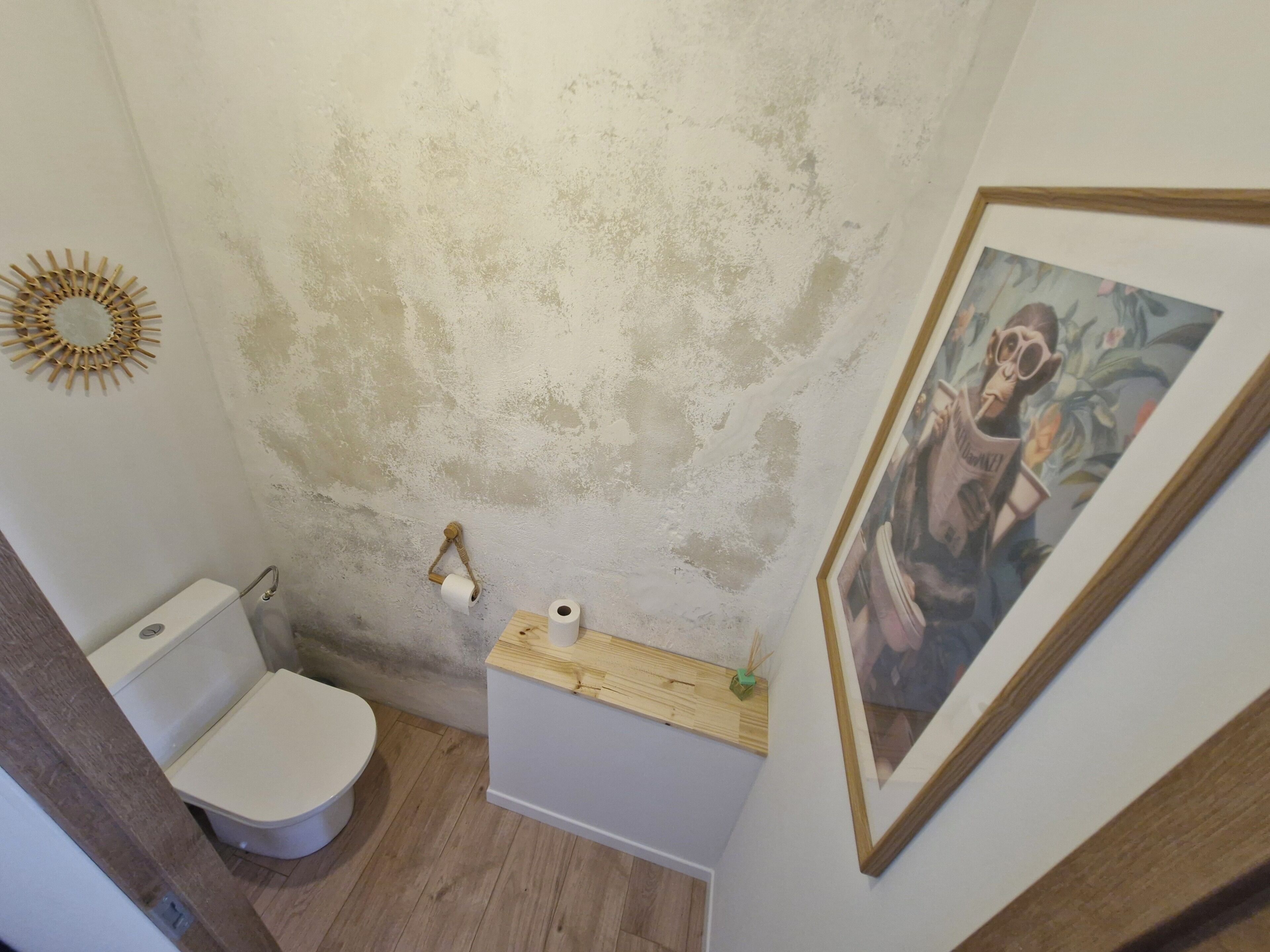 A small bathroom with a toilet, a wall-mounted toilet paper holder, and a framed picture on the wall.