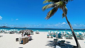 Ein Strand mit Liegestühlen, Sonnenschirmen und einer Palme.