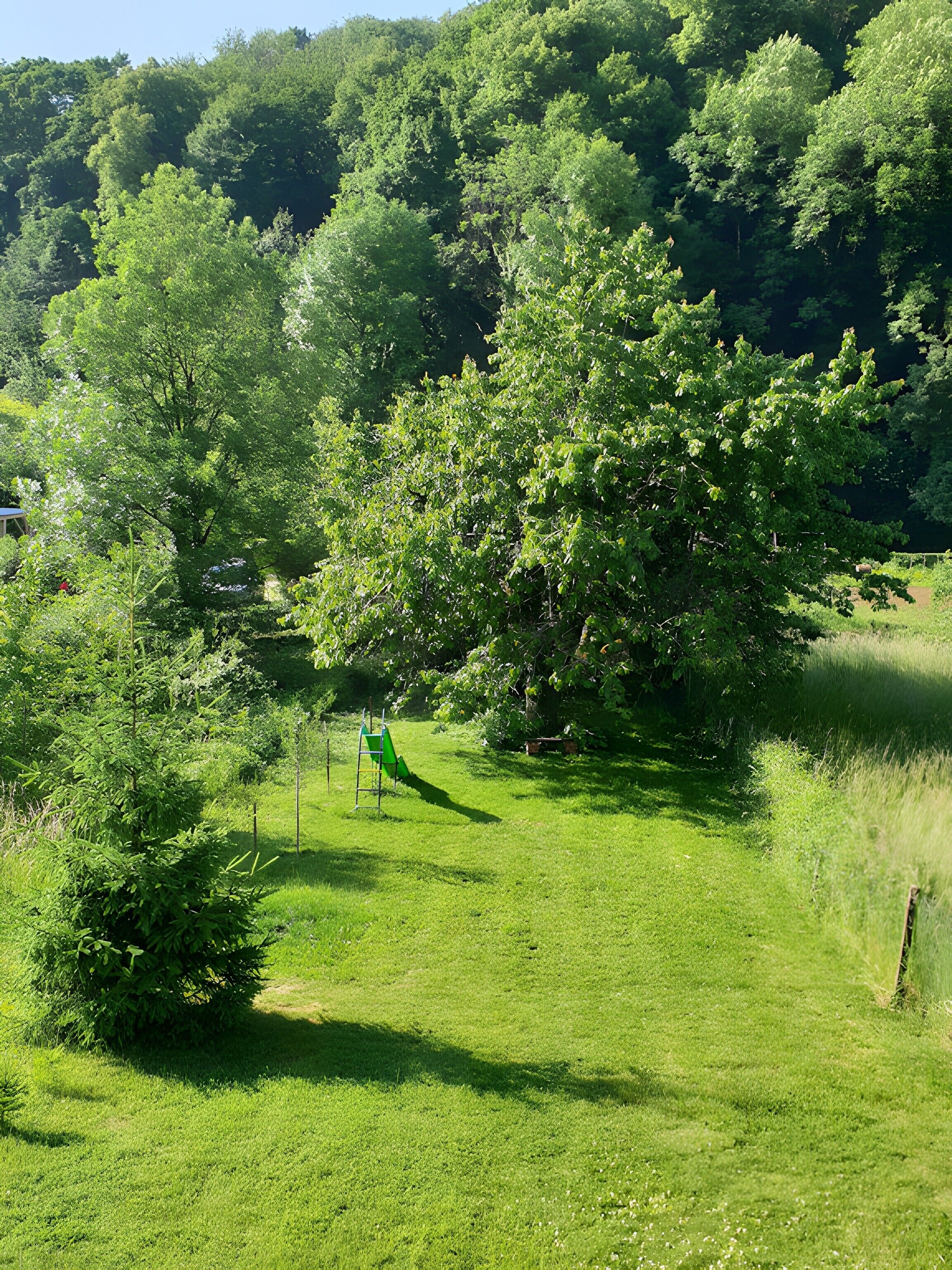 A grassy area with trees and a playground structure.