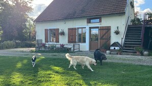 Talo, jossa on etupiha, puinen aita ja koira.