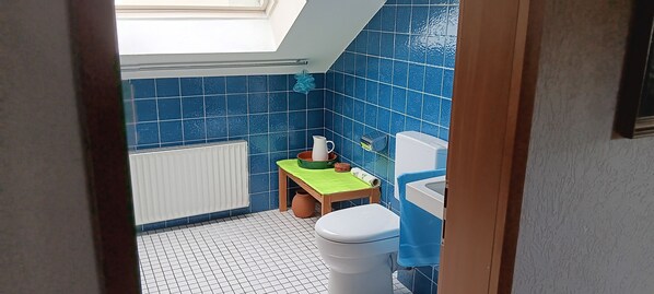 A small bathroom with a skylight, a toilet, a sink, and a blue tiled wall. - Vacation Home in the Bergisches Land and Apartment for Workers (Gummersbach Nordrhein-Westfalen)