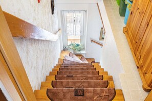 A wooden staircase with a handrail, leading to a room with a window and a door.