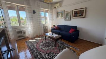 A living room with a sofa, a coffee table, a rug, and a television.