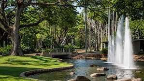 A tranquil garden with a pond, a bridge, and a fountain.