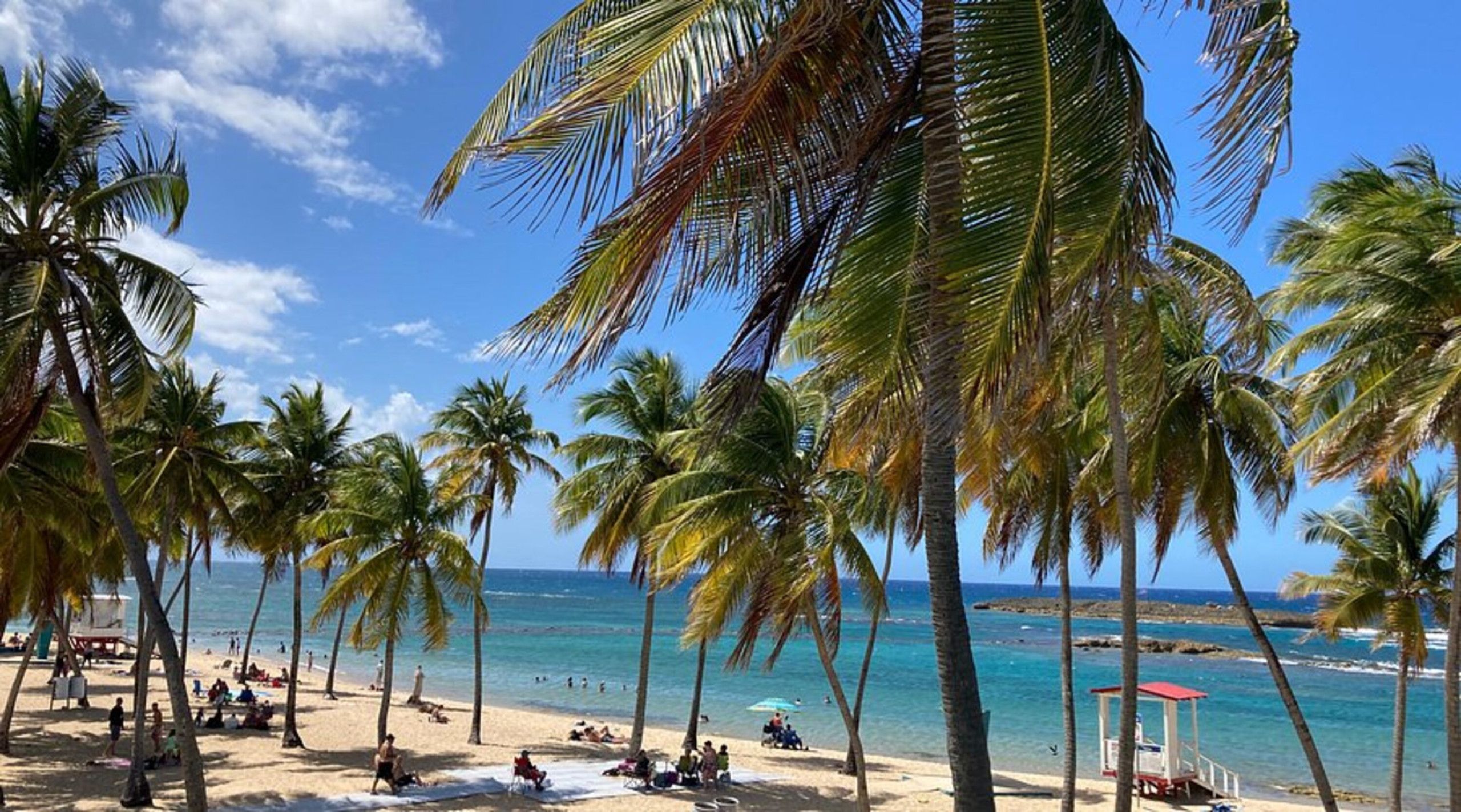 A beach with palm trees, a lifeguard tower, and people relaxing.