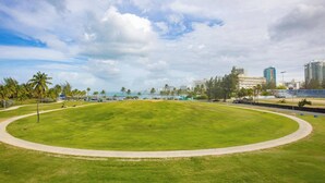A well-maintained grassy field with a curved path, palm trees, and a view of a cityscape with buildings in the background. - Charming 1 BR Walking Distance to Escambron Beach (San Juan)