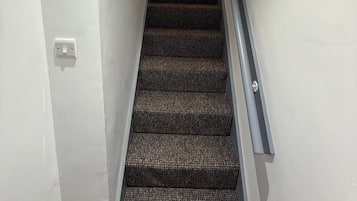 A staircase with carpeted steps and a metal handrail, leading to a landing with a poster and a plant.
