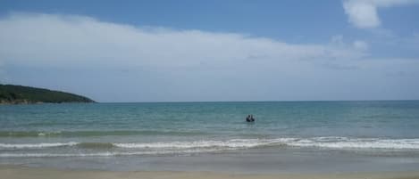 A beach with a sandy shore and calm sea.