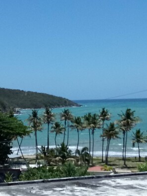 A coastal view with palm trees and a clear sky.