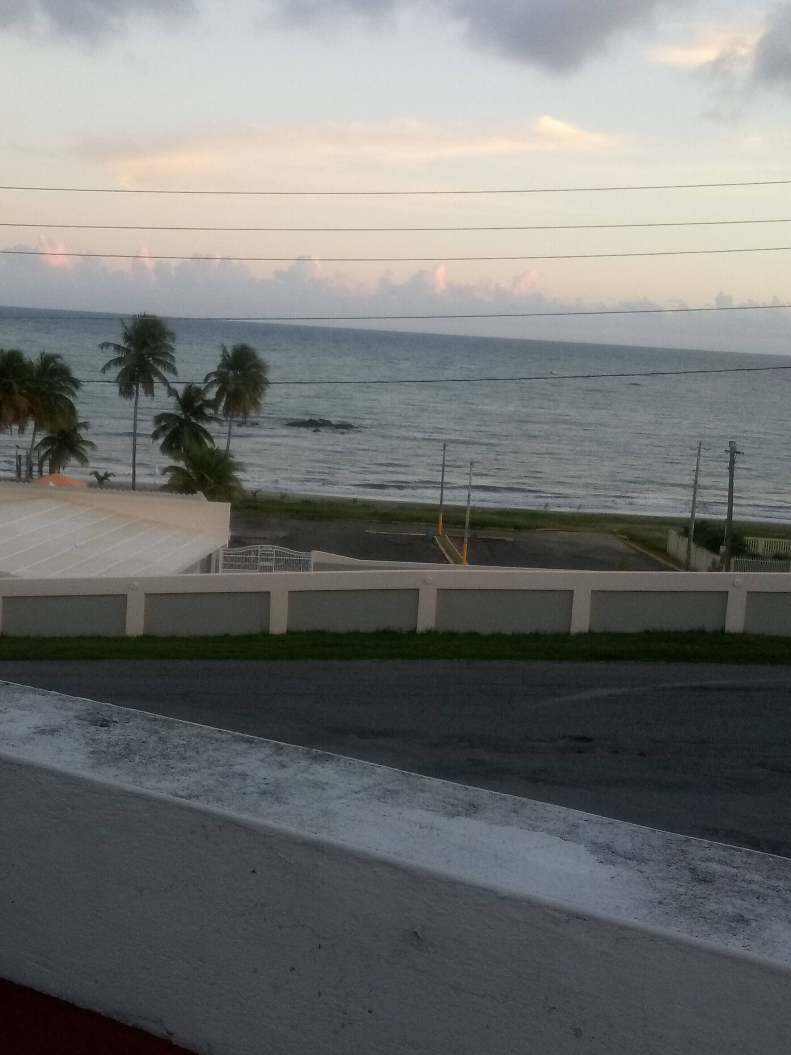 Una carretera costera con vista al mar y palmeras.
