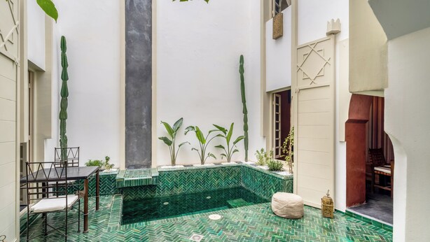 Un patio con piscina de baldosas verdes, un cactus y una silla.