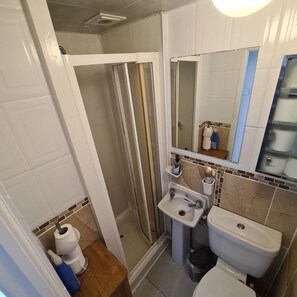 A bathroom with a shower, sink, toilet, and a mirror above the sink.