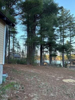 Uma área arborizada com uma casa, uma trilha de terra e um corpo d'água ao fundo.