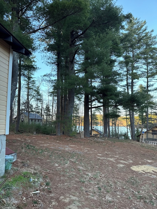 A wooded area with a house, a dirt path, and a body of water in the background.