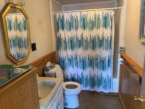 Une salle de bain avec un rideau de douche, des toilettes, un lavabo et un miroir.