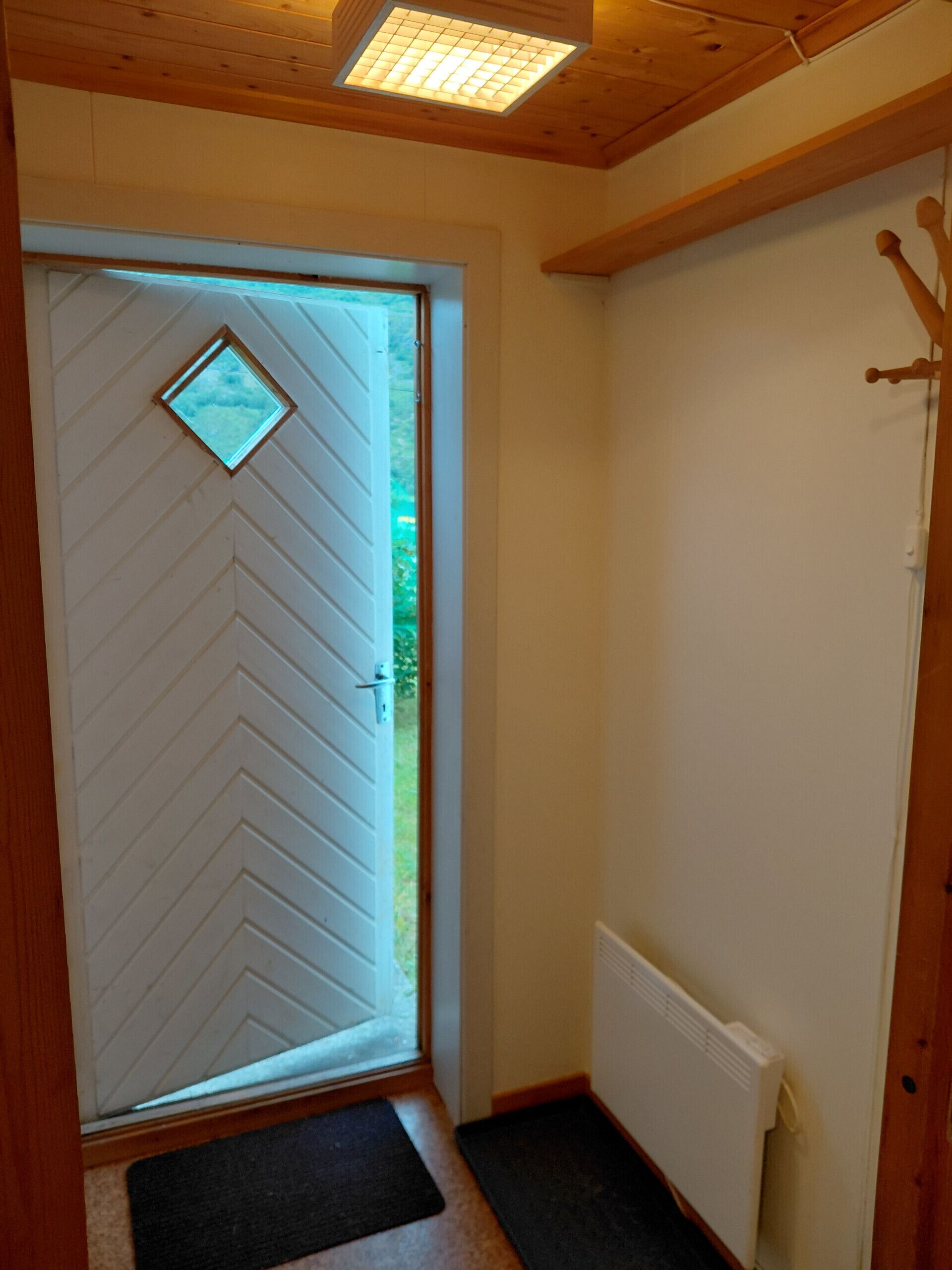A room with a wooden door, a radiator, and a small window.