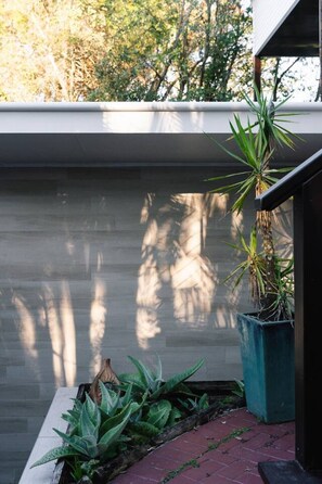 Uma área externa moderna com uma parede de concreto, um vaso com planta e um banco de madeira.