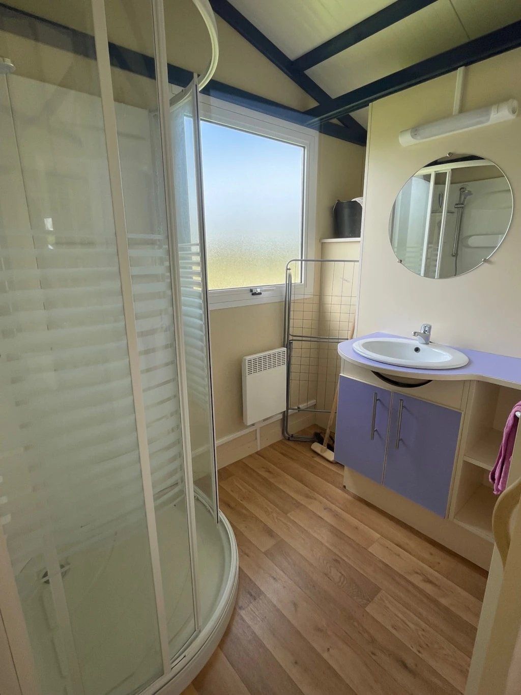 Une salle de bain avec une douche, un lavabo et un miroir.