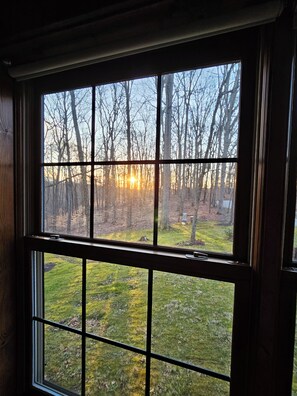 A window with a view of a forested area and a grassy field. - Peaceful log cabin on large acreage with fire pit and private hiking trails. (Nashville)