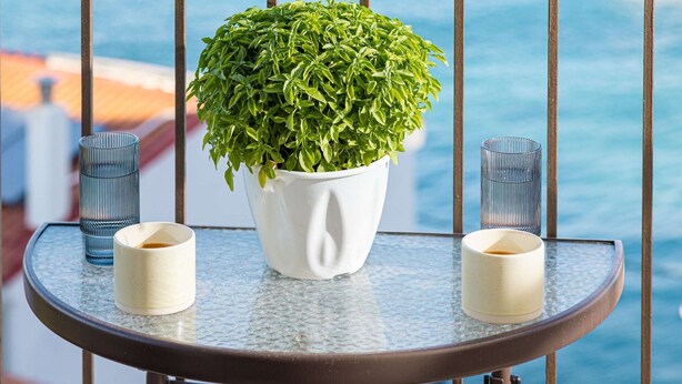 A balcony with a potted plant, two glasses, and a view of the ocean. - Studio Tepes - Niki Samos Sea View Balcony Suite (Samos)