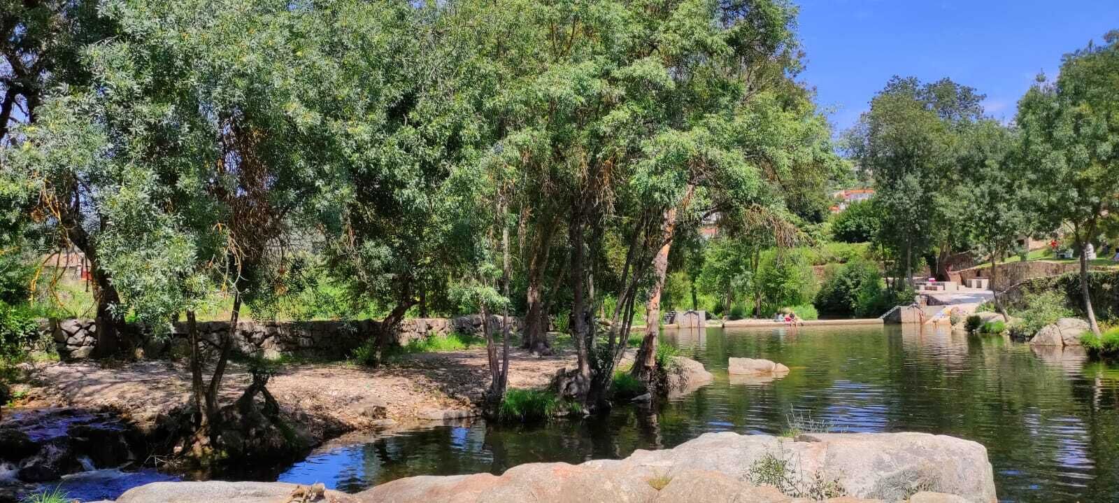 Un parque tranquilo a orillas del río, con árboles, un puente de piedra y un estanque sereno.