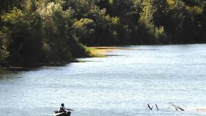 A calm river with a person in a small boat, surrounded by dense greenery. - Chalet 3 étoiles - ccbgcca (Montfrin)