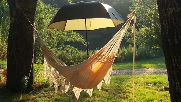 Un hamac suspendu entre des arbres, dans un espace herbeux.