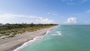 Ein Strand mit freiem Blick auf den Ozean und einer Küstenvegetation.