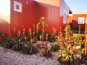 Khuôn viên nơi lưu trú