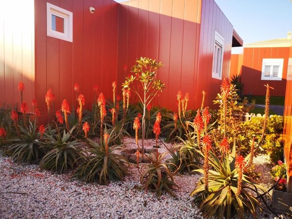 A red building with a garden in front, including various plants and a gravel path.