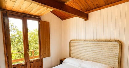 The Geckos' Cabin