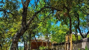 Un sendero que conduce a un edificio de diseño rústico, rodeado de árboles y rocas.
