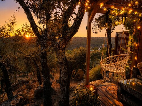 The Geckos' Cabin