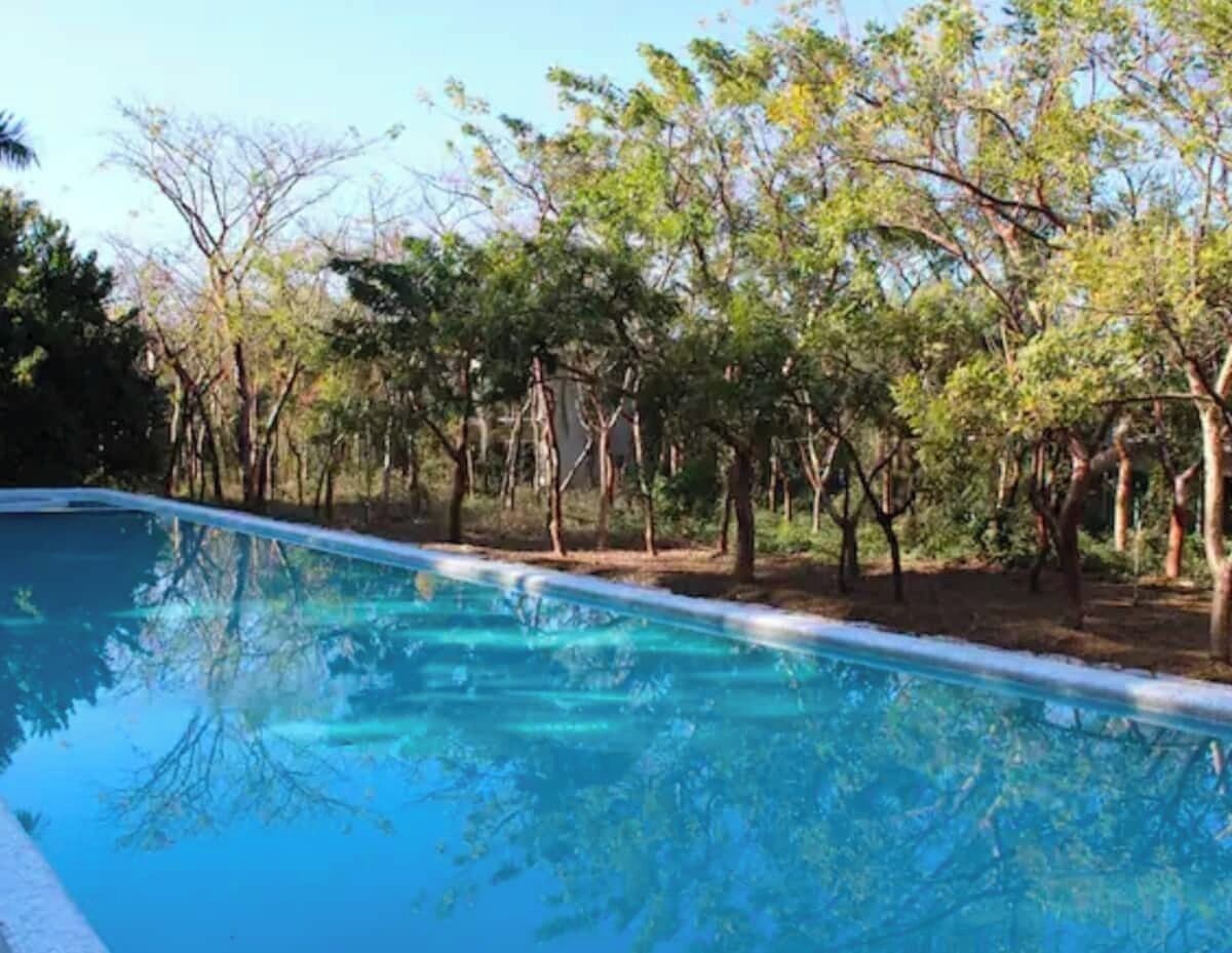 A swimming pool surrounded by trees.