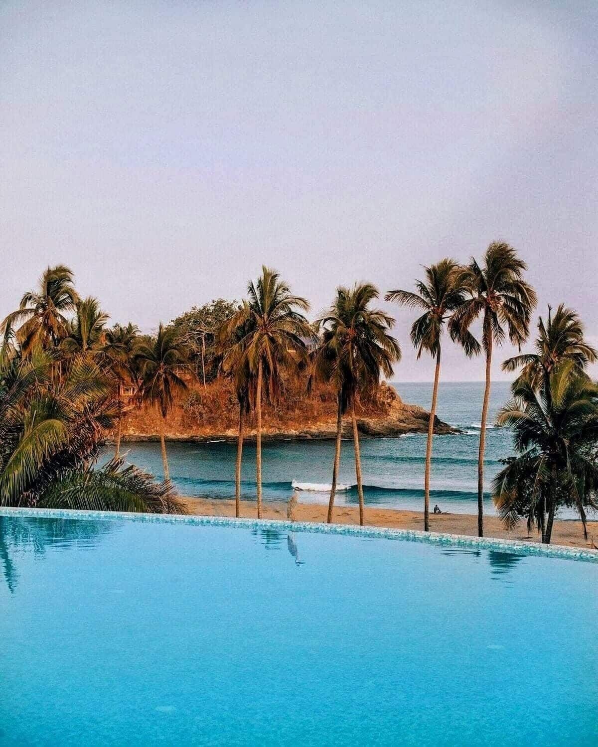Una piscina azul cristalina con vistas al océano y palmeras.