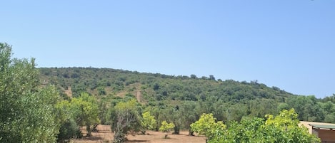 A wooden deck with a view of a hilly landscape.