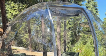 1-bedroom tiny cabin, Outdoor hot tub & dry sauna in Lake Davis, Portola