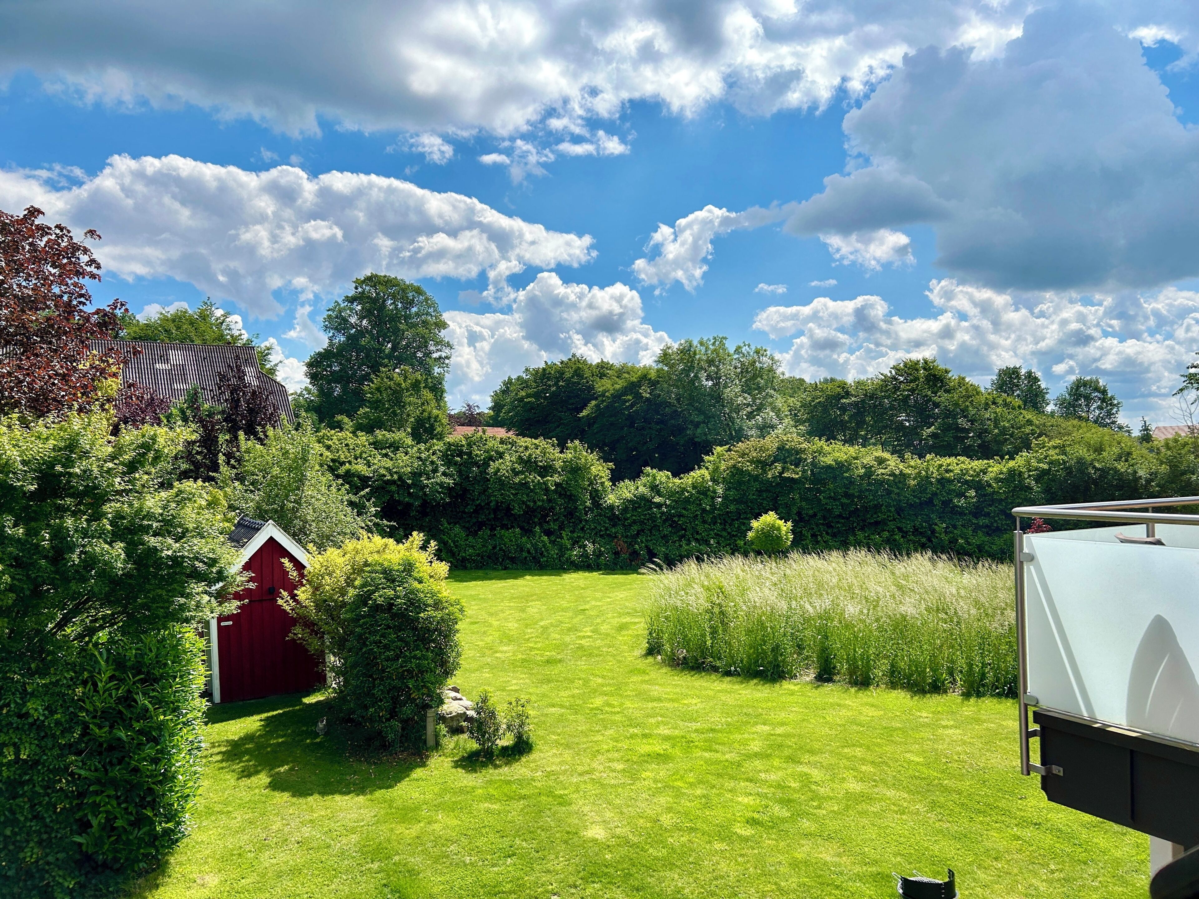 A well-maintained grassy area with a red shed, dense greenery, and a clear sky.