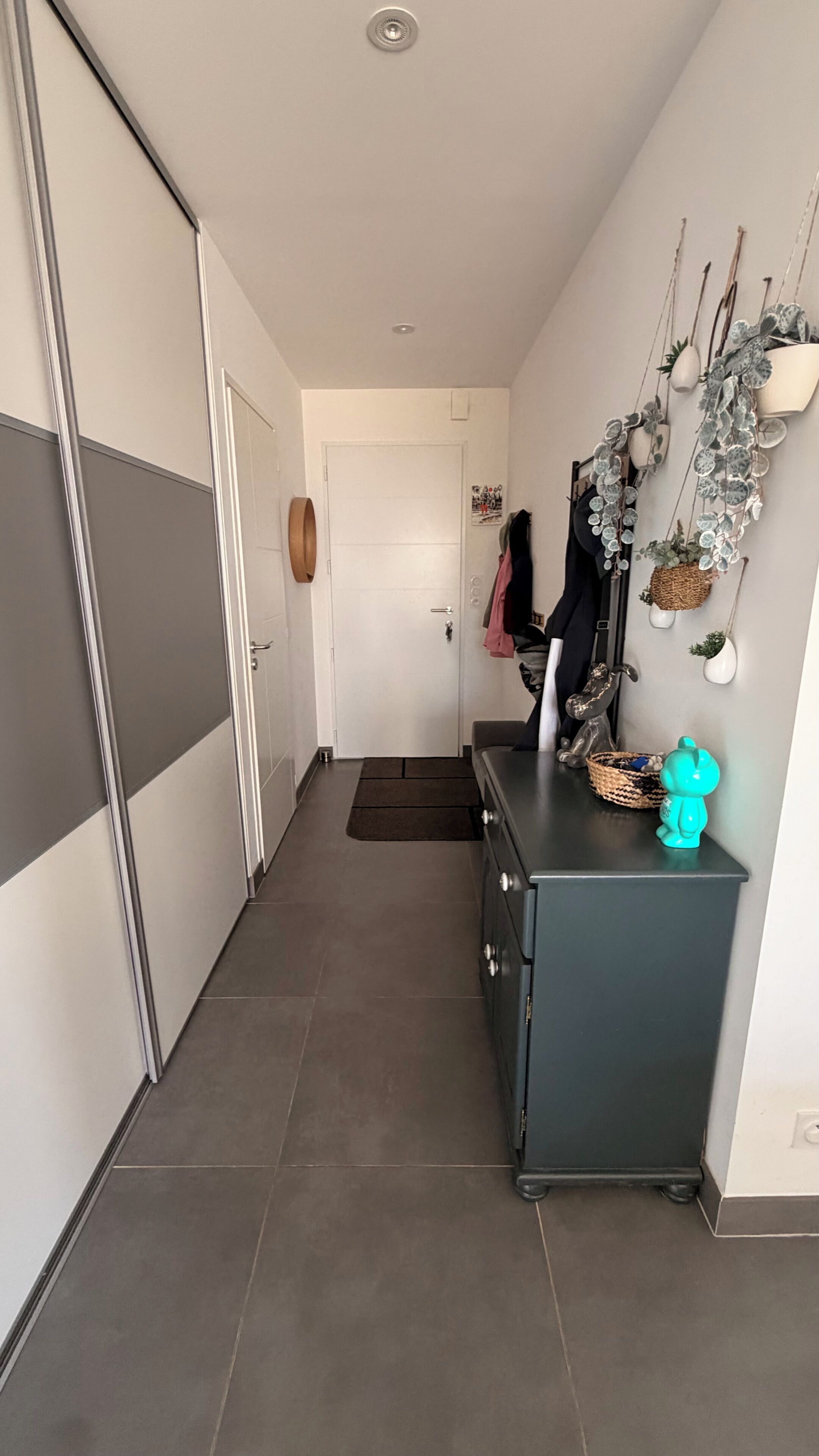 En gang med en grå garderobe, et mørkeblåt skab og en plantekasse på væggen.
