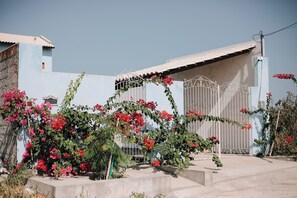 A building with a white facade, a metal gate, and flowering plants in front.