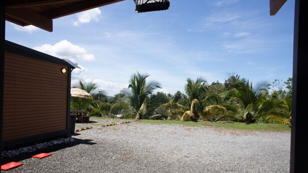 A building with a gravel driveway, a thatched-roof structure, and palm trees in the background. - El Flamboyán Suite 3 with private plunge pool (Añasco)