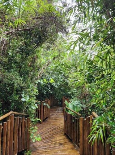Alma Lemu Lodge