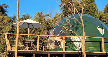 Alma Lemu Lodge