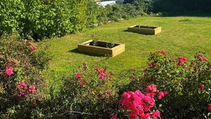 Eine begrünte Fläche mit erhöhten Blumenbeeten und blühenden Pflanzen.