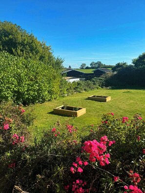 A grassy area with raised garden beds and flowering plants. - Summer house on Fejø with field views and beach (Fejø)