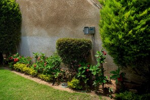 A garden with a variety of plants, a hedge, and a utility box mounted on a wall. - 575 · 4BR Townhouse, 3 Bath, TV, Backyard (Sheikh Zayed City)