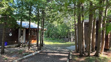 A wooden cabin with a porch, surrounded by trees and a gravel path leading to it.