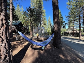 A hammock between trees, a clear sky, and a cabin in a forest.